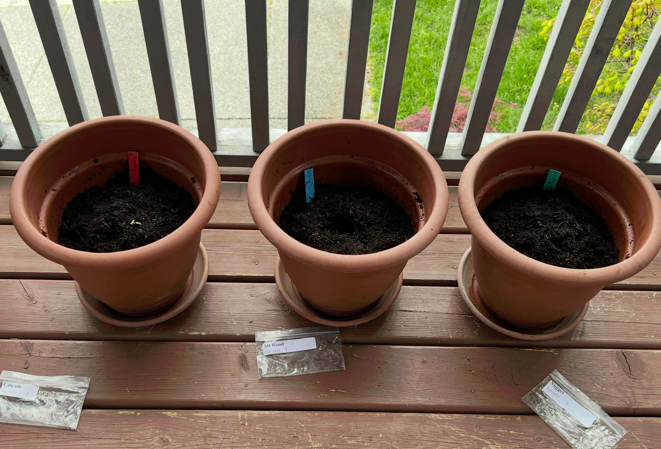 potted
